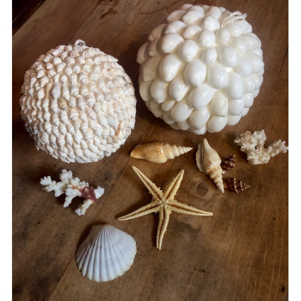 Olaes Shell Ball